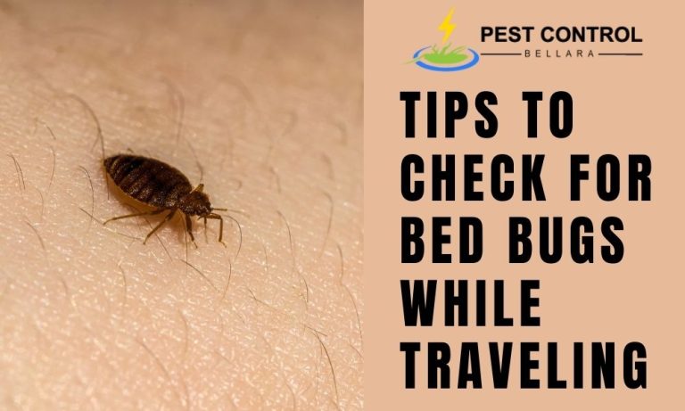Discover essential tips for checking for bed bugs while traveling and keep your Bellara adventures pest-free.