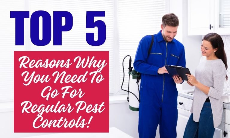 Top 5 Reasons Why You Need To Go For Regular Pest Controls!