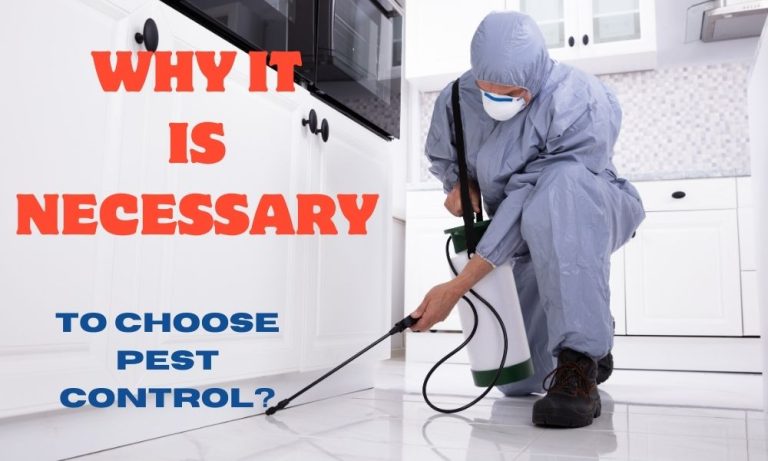 Why It Is Necessary To Choose Pest Control?